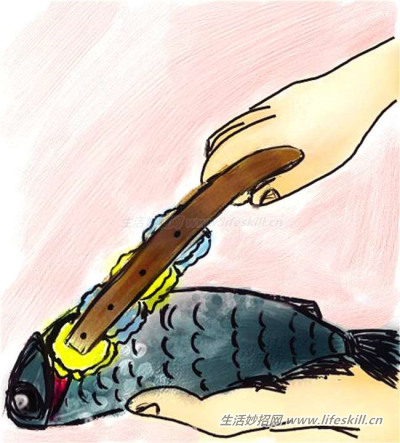 Ϻ꣬ƿĪö࣡